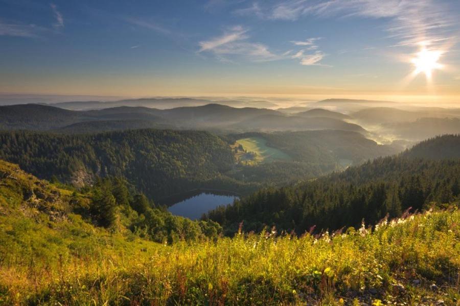 Mellex Fewo Feldberg  Bagian luar foto