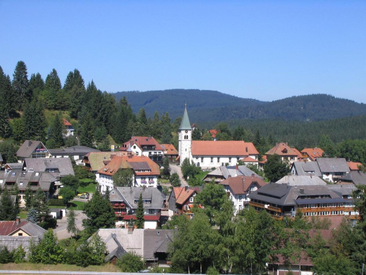 Mellex Fewo Feldberg  Bagian luar foto